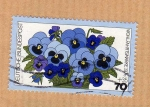 Stamps Germany -  Scott B536. Pensamiento