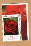 Stamps : Europe : Germany :  Michel 2669. Rosa.