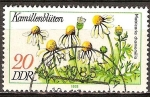 Sellos de Europa - Alemania -  Plantas Medicinales(Manzanilla, Matricaria chamomilla)-DDR.