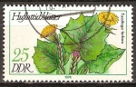 Stamps Germany -  Plantas Medicinales(Uña de caballo,Tussilago farfara )-DDR.
