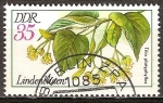Sellos de Europa - Alemania -  Plantas Medicinales( Flores de Lima,Tilia platyphyllos)-DDR.
