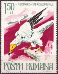 Stamps Romania -  Neophron Percnopterus
