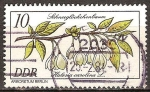 Sellos del Mundo : Europa : Alemania : Halesia carolina (Arboretum de Berlín)DDR.