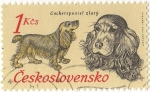 Stamps : Europe : Czechoslovakia :  Cockerspaniel zlaty
