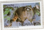 Stamps Nicaragua -  27  Mapache