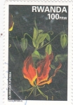 Stamps : Africa : Rwanda :  Gloriosa Superba