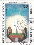 Stamps Cameroon -  Jornada Nacional de la protección de los arboles