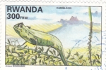 Stamps : Africa : Rwanda :  CAMALEÓN