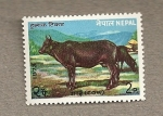 Stamps Asia - Nepal -  Vaca