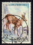Sellos de Europa - Espa�a -  1972 Fauna Hispánica. Rebeco - Edifil:2103