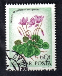 Stamps Hungary -  Flores