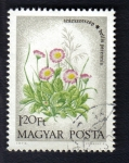 Stamps Hungary -  Flores