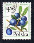 Stamps : Europe : Poland :  Frutas