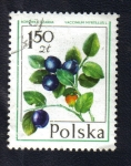 Stamps : Europe : Poland :  Frutas
