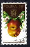 Stamps : Europe : Poland :  Frutas