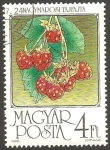 Stamps Hungary -  3060 - Frambuesas