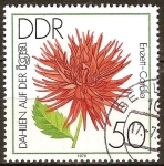 Stamps Germany -  Exposición internacional de Dalias en Erfurt