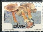 Stamps Spain -  cortinario canelo