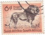 Sellos de Africa - Sud�frica -  LEÓN