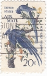 Stamps United States -  AUDUBON 1785-1851