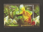 Sellos de Europa - Rumania -  Carasius auratus