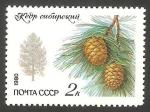 Stamps Russia -  4742 - Cedro de Siberia