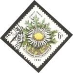 Stamps Russia -  4803 - flora, carlina acaulis