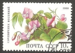 Stamps Russia -   5530 - Flor orobus vernus