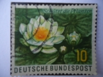 Stamps Germany -  Schützt  díe  Pflanzen -   (Nenúfar)