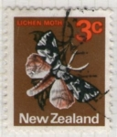 Sellos de Oceania - Nueva Zelanda -  12  Lichen Moth