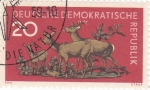 Stamps Germany -  CIERVOS