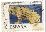 Stamps Spain -  sapo partero