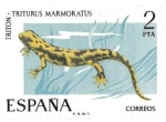 Stamps Spain -  tritón