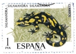 Stamps Spain -  salamandra