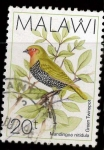 Stamps Africa - Malawi -  green twinspot