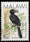 Stamps Africa - Malawi -  silvery cheeked