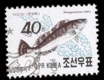Stamps North Korea -  exagrammos atakii