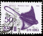 Stamps North Korea -  Myelobatus tobijei
