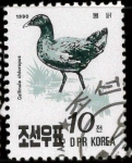 Stamps North Korea -  gallinula