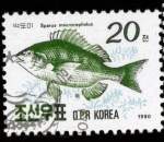Stamps North Korea -  saprus