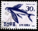 Stamps North Korea -  pez volador