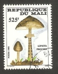 Stamps Mali -  518 - Champinón