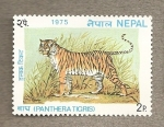 Stamps Nepal -  Pantera