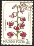 Stamps Hungary -  3007 - flores de lys, lilium martagon