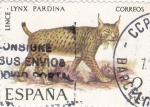 Stamps Spain -  FAUNA- Lince      (W)