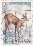 Stamps Spain -  FAUNA IBERICA- REBECO      (W)