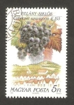 Stamps Hungary -  3286 - Región vinicola de Hungría, vista de la localidad y cepa,Villany et Cabernet sauvignon