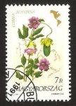 Sellos de Europa - Hungr�a -  3309 - flor americana, cobaea scandens
