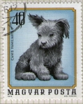 Stamps Hungary -  71 Canis familiaris
