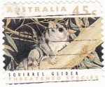 Stamps : Oceania : Australia :  Ardilla